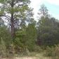 3313 Rim Lakes Drive, Overgaard, AZ 85933 ID:3224887