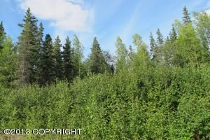 3401 W Coghlan Circle, Wasilla, AK 99654