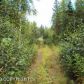 9379 W Caroline's Circle, Wasilla, AK 99654 ID:3957795