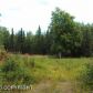 9379 W Caroline's Circle, Wasilla, AK 99654 ID:3957796