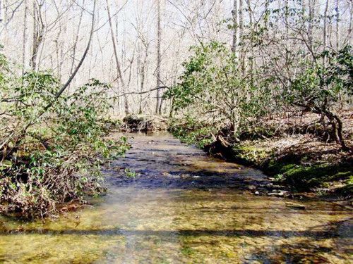 120 ACRE FUNNEL CREEK RD, Crossville, TN 38555