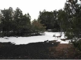 Lot 24 Wilson Road, Show Low, AZ 85901