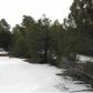 Lot 24 Wilson Road, Show Low, AZ 85901 ID:1314682