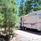 3921 horseshoe Loop, Show Low, AZ 85901 ID:1321782