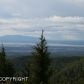 L11 Snow Bear Drive, Anchorage, AK 99516 ID:1580667