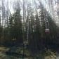 3350 S Edelweiss Drive, Wasilla, AK 99654 ID:3957790