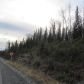 713 Cahill Lane, Soldotna, AK 99669 ID:2493174