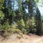 048-420-12 King Arther, N Tuolumne Rd, Twain Harte, CA 95383 ID:3629392