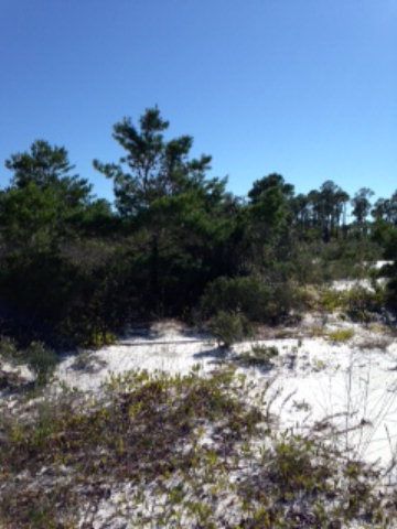 0 Highway 180, Gulf Shores, AL 36542