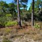 0 Highway 180, Gulf Shores, AL 36542 ID:2959206