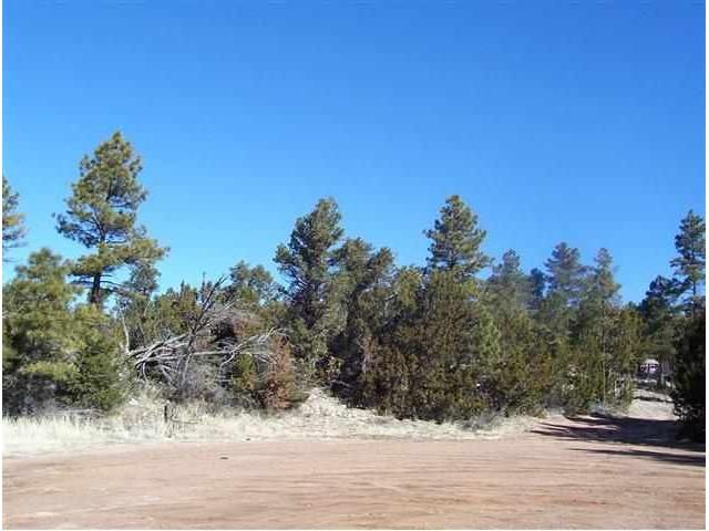 1950 Bear Cave Cr, Overgaard, AZ 85933