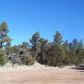 1950 Bear Cave Cr, Overgaard, AZ 85933 ID:3224888