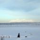 11184 Bluff  Creek Road, Anchorage, AK 99515 ID:5442175