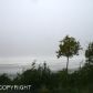 5910 Greece Drive, Anchorage, AK 99516 ID:1579309