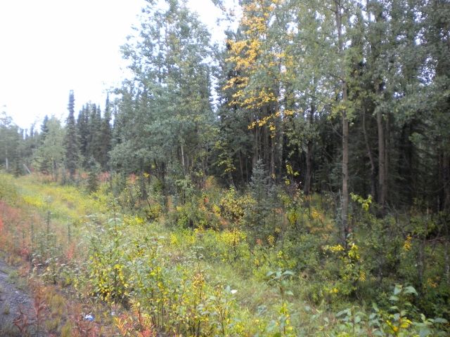 Tr 2-4 Funny River Road, Soldotna, AK 99669