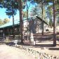 2256 Hwy 260, Overgaard, AZ 85933 ID:3224886