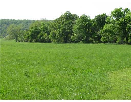 40 acres MOUNTAIN VIEW RD, Lincoln, AR 72744