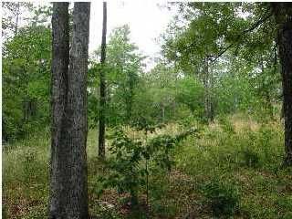 3 Waterfall Trl, Wetumpka, AL 36093