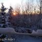 7773 Cherrywood Circle, Anchorage, AK 99507 ID:2456646