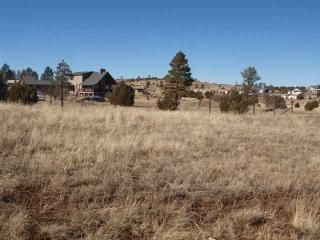 1124 Cochran Lane, Show Low, AZ 85901