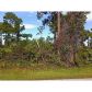 23359 Wilber Ave, Port Charlotte, FL 33980 ID:3009210