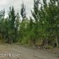 3312 S Anderson Street, Big Lake, AK 99652 ID:5442442