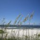 0 Beach Shore Drive, Gulf Shores, AL 36542 ID:1529452