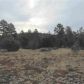 1059 Old Highway 160, Show Low, AZ 85901 ID:1321603