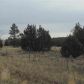 1059 Old Highway 160, Show Low, AZ 85901 ID:1321605