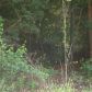 Lot 2 Lee Road 249, Salem, AL 36874 ID:1339111