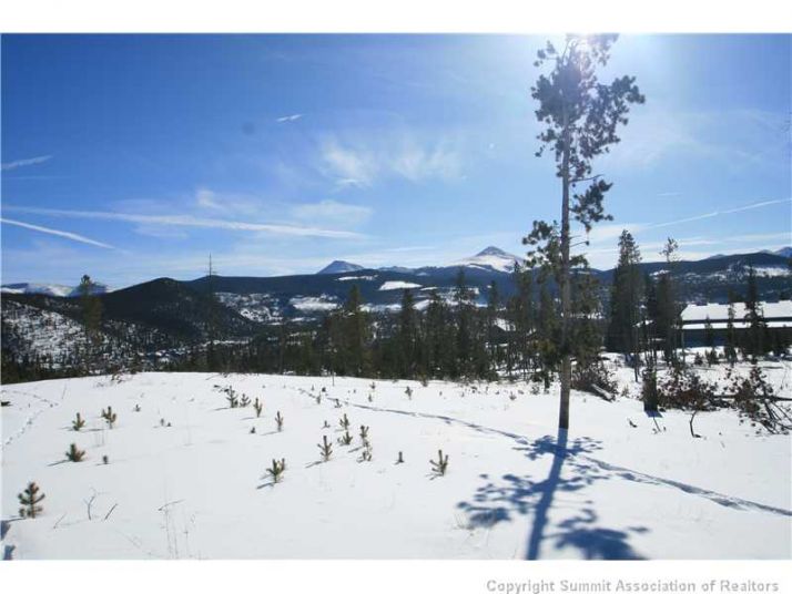 114 Sherwood Trail Lot 21 Gold Hill, Breckenridge, CO 80424