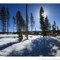 114 Sherwood Trail Lot 21 Gold Hill, Breckenridge, CO 80424 ID:4232158