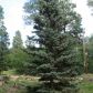 281 Berry Drive, Bayfield, CO 81122 ID:5119197