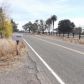 18249 East Collier Road, Acampo, CA 95220 ID:1796298