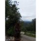 74 Ranch Mountain Terrace, Dahlonega, GA 30533 ID:2620079