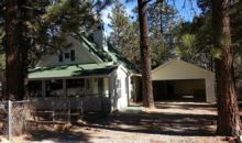 451  Spruce Ln Big Bear City, CA 92314