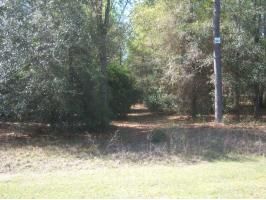 37 HIGH PINES, Eustis, FL 32736