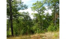 0 Lot 7 Robert Drive Ellijay, GA 30540