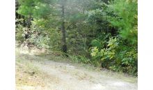 0 Lot 10  Robert Drive Ellijay, GA 30540