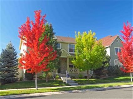 2155 Harmony Park Drive, Denver, CO 80234