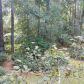 320 Volanta Avenue B-3, Fairhope, AL 36532 ID:1524792