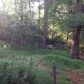 5655 Cypress Dr, Forest Park, GA 30297 ID:979614