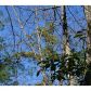 27 Oceola Drive, Ellijay, GA 30540 ID:4332136