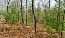 14 Trails End Ridge Ellijay, GA 30540