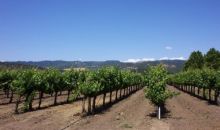 0 Zinfandel Ln Saint Helena, CA 94574