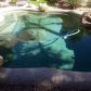 16951 W Halifax Ct, Surprise, AZ 85374 ID:1572465