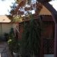 19202 North 14th Drive, Phoenix, AZ 85027 ID:4505052