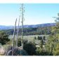 16011 Mountain Lilac Trail, Frazier Park, CA 93225 ID:4391690