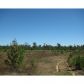 0 Potato Farm Rd, Glenmora, LA 71433 ID:3092461