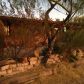 2731 82nd St, Mesa, AZ 85207 ID:4187430